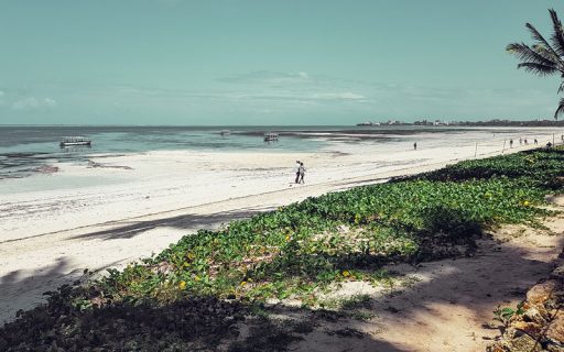 Better days for Tourism