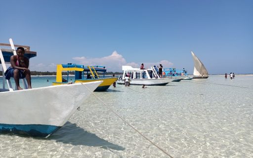 Looking at Geo-Tourism Through the Lens of a Local