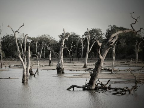 Urban Development, Tourism, and Climate Change: The Case of Floods in Kenya